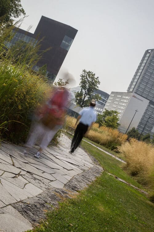 Belgische Blauwe Steen - Park en openbare tuin - Opus incertum