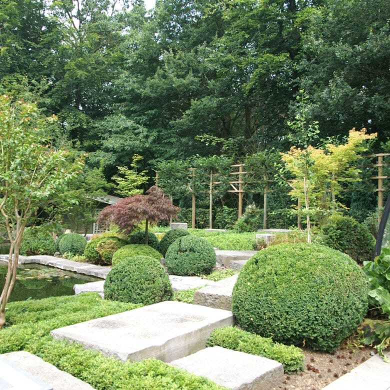 Pierre Bleue Belge - Escalier et marche de jardin