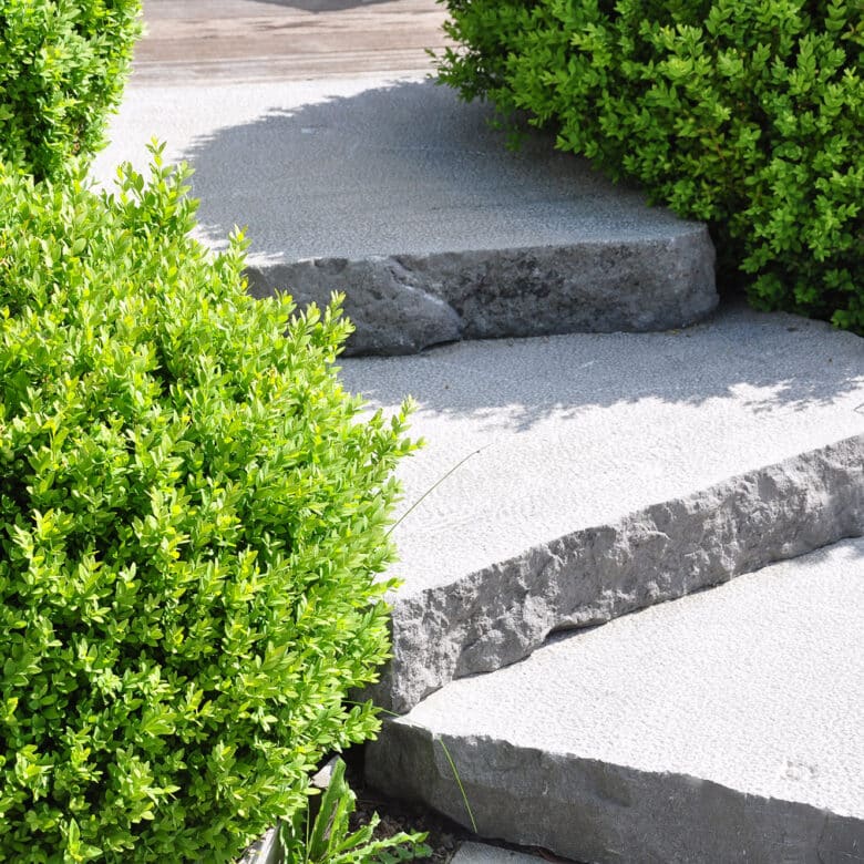 Pierre Bleue Belge - Escalier et marche de jardin - Finition : Bouchardé