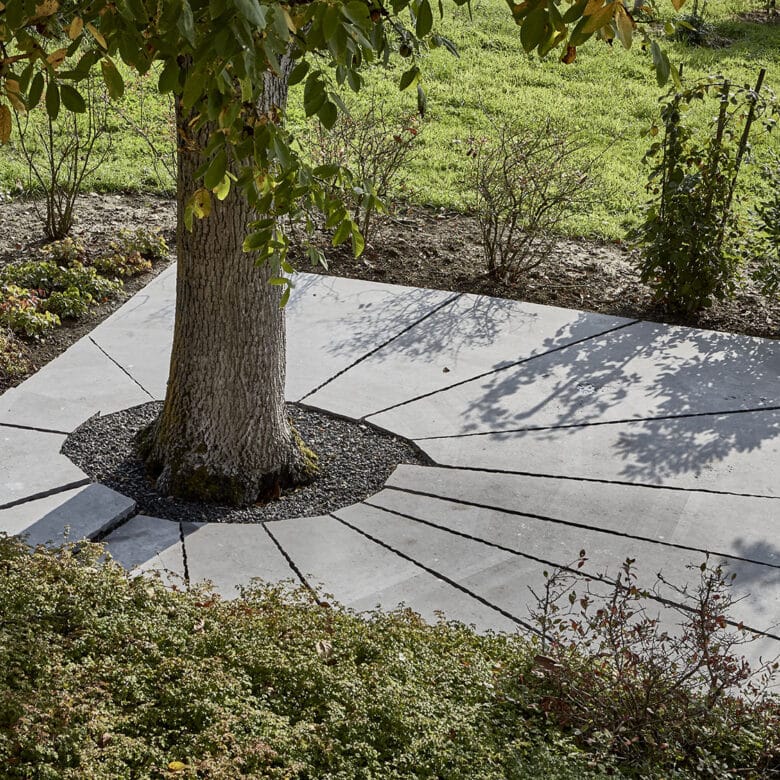 Pierre Bleue Belge - Jardin public - Contour arbre