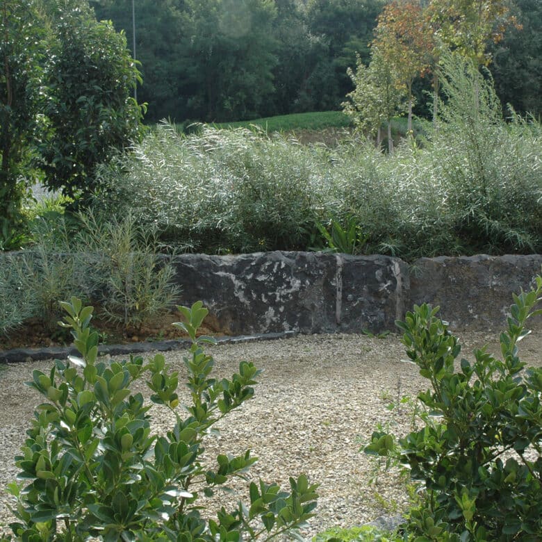 Pierre Bleue Belge - Jardin public - Mur en Croûte